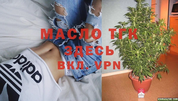 гидра Новодвинск