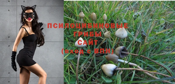 марки nbome Новозыбков