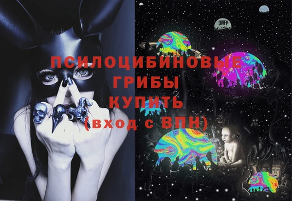 МДПВ Нея