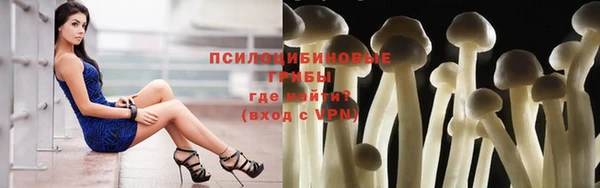 МДПВ Нея