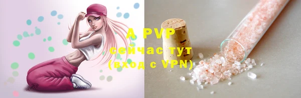 МДПВ Нея