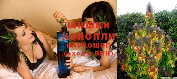 гидра Новодвинск