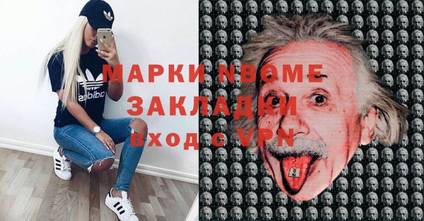 гидра Новодвинск
